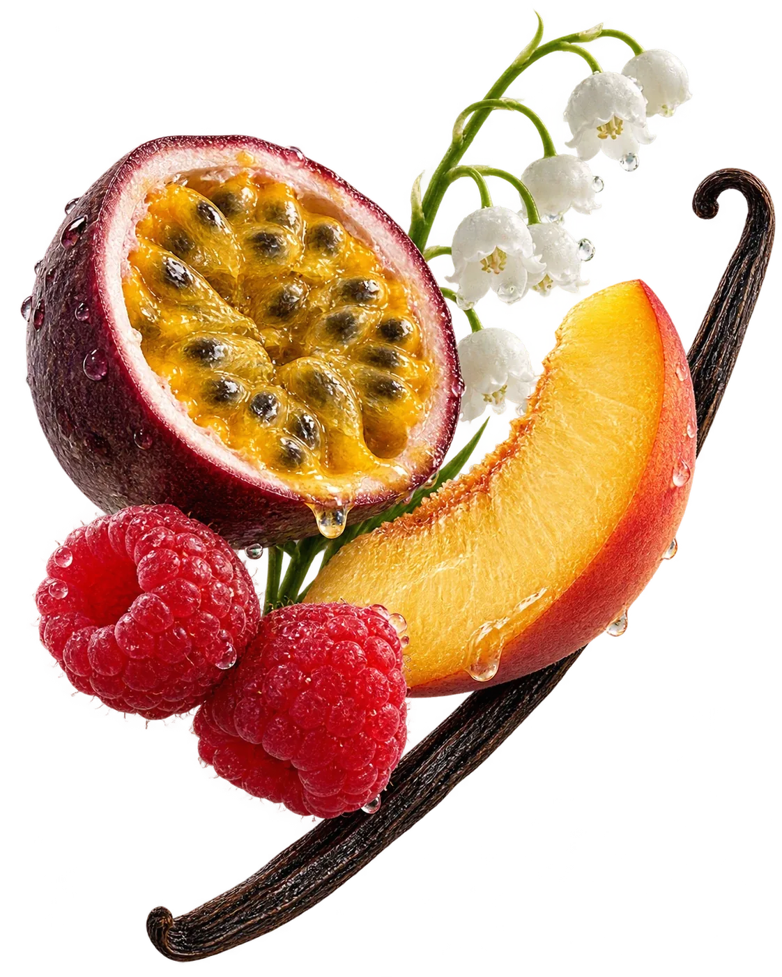 GLOBAL VILLAGE ingredient artwork